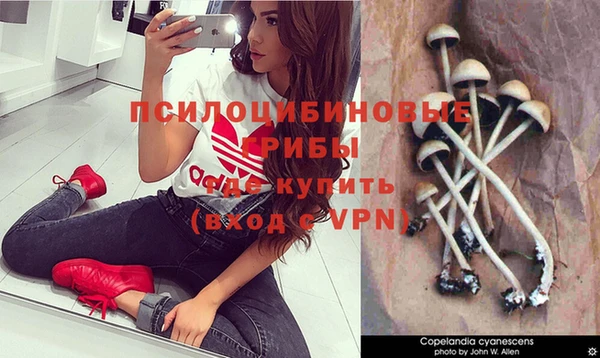 бошки Балахна
